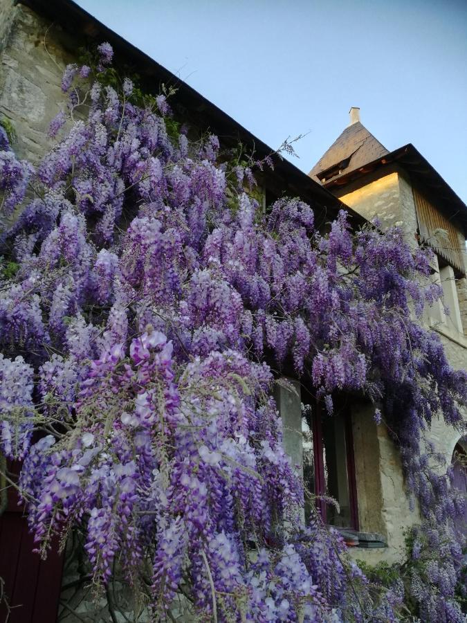 Chateau St.Gaultier Saint-Gaultier Exteriér fotografie