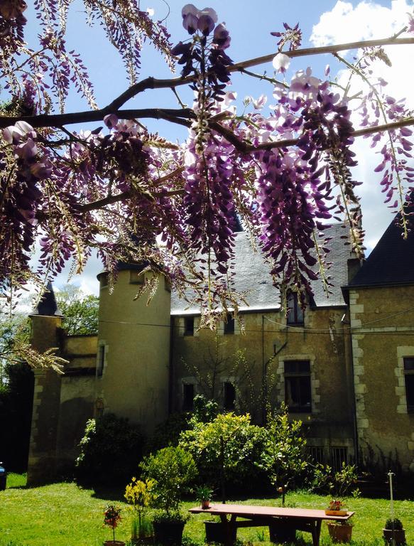 Chateau St.Gaultier Saint-Gaultier Exteriér fotografie